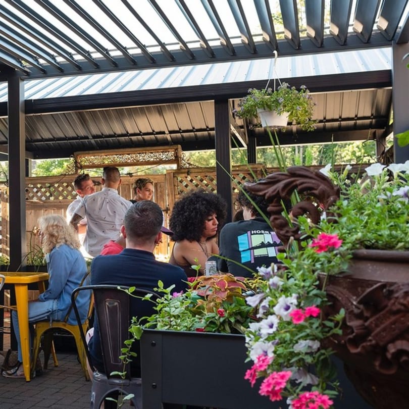 Patrons enjoying the outdoor patio seating at Tinga Fresh Mexican, with lush plants and a pergola overhead.