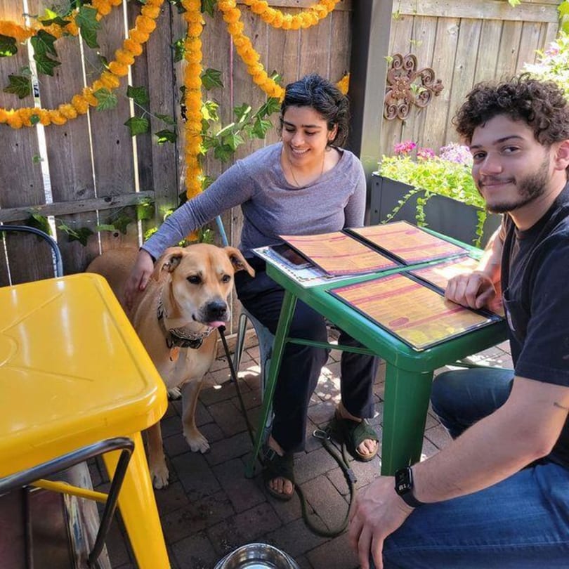 Two patrons and a dog sitting at a green table with menus on a sunny patio decorated with marigolds.