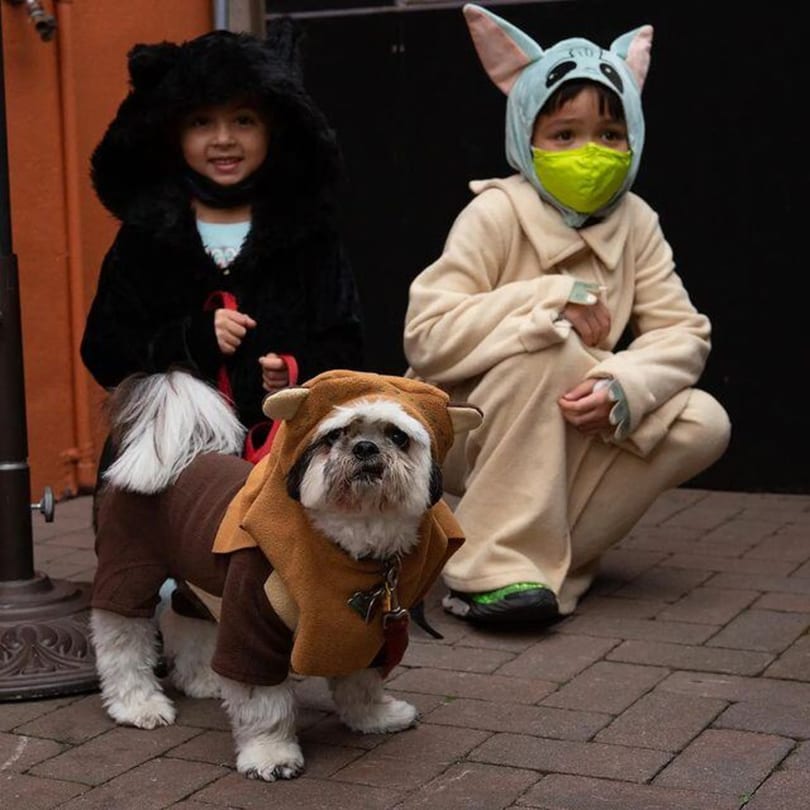Two children in costumes, one as a bear and one as Grogu, with a dog dressed as an Ewok.