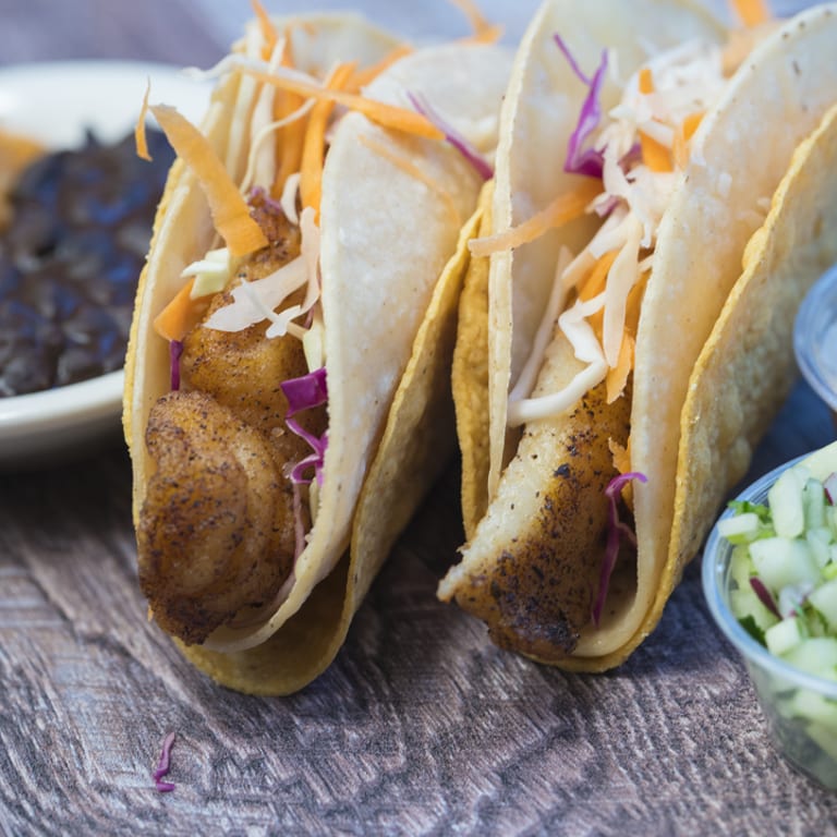 Delicious Quesadilla Options